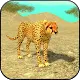 Wild Cheetah Sim 3D