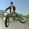 Bmx Fe3d 2