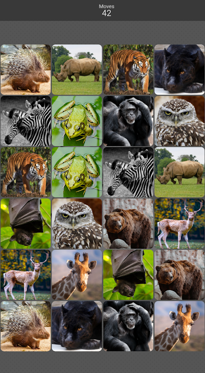 #7. Pairs: Animals (Android) By: HeBaSoft