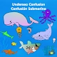 Undersea Confusion