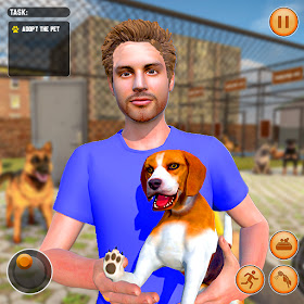 Animal Shelter Pet Life 3D