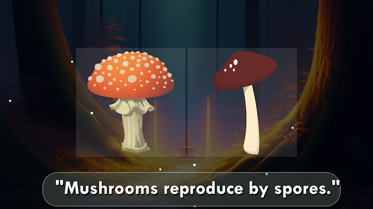 #5. Mushroom Field Puzzle (Android) By: profigame.net