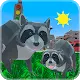 Raccoon Adventure