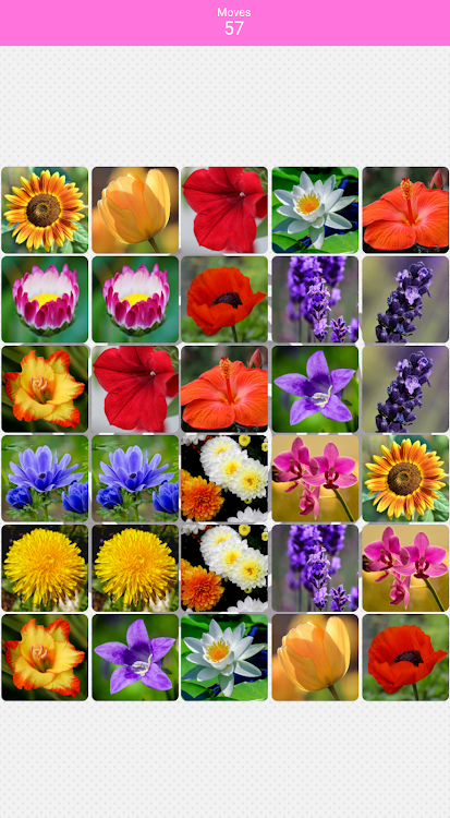 #7. Pairs Flowers (Android) By: HeBaSoft