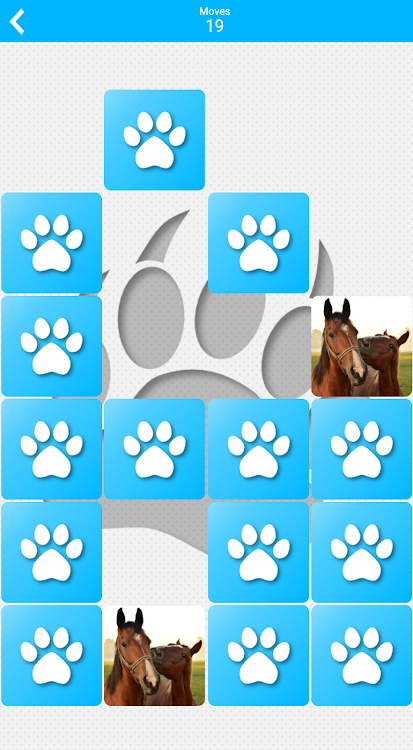 #6. Pairs: Animals Pro (Android) By: HeBaSoft