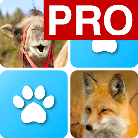 Pairs: Animals Pro