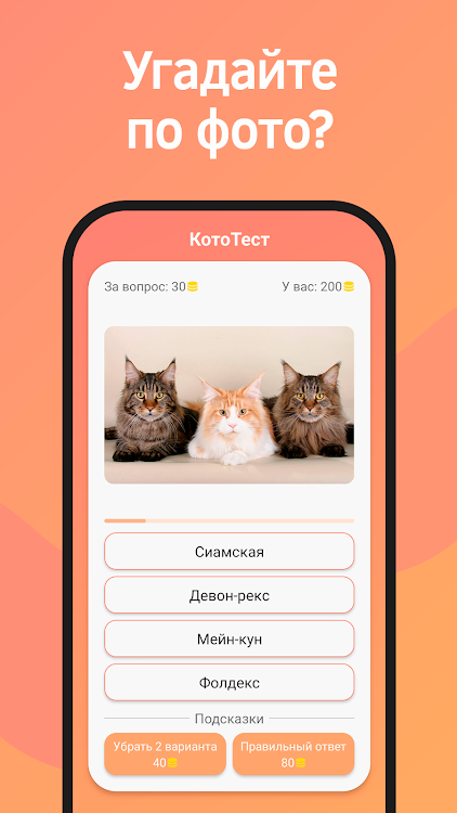 #4. КотоТест: Тест о котах, кошках (Android) By: JustCircle Prod.