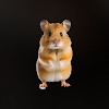 Hamster Codes icon