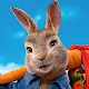 Peter Rabbit Run