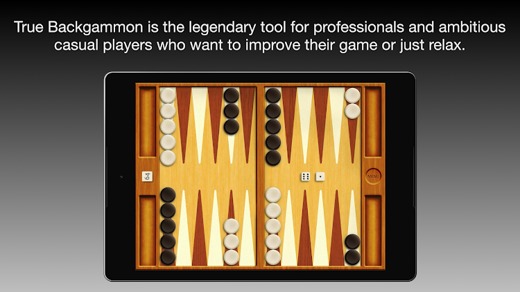 #9. True Backgammon (Android) By: CompuLab, Markus Gömmel