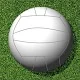 Flick Gaelic Football