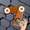 Screw Dilemma icon