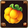 Catch Fruits icon