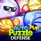 Auto Puzzle Defense