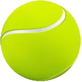 Sports : Tennis