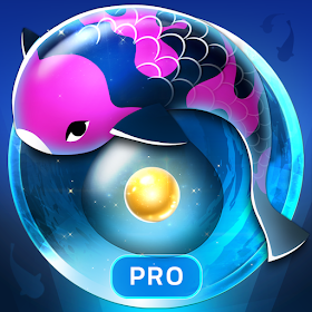 Zen Koi Pro