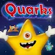 Quarks Galaxy