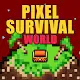 Pixel Survival World