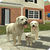 Dog Sim icon