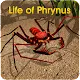 Life of Phrynus