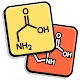 Amino Acid Quiz