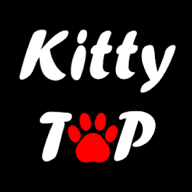 Kitty Tap - Cat Toy