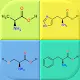 Amino Acids Structures