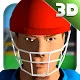 Cricket Simulator 3D