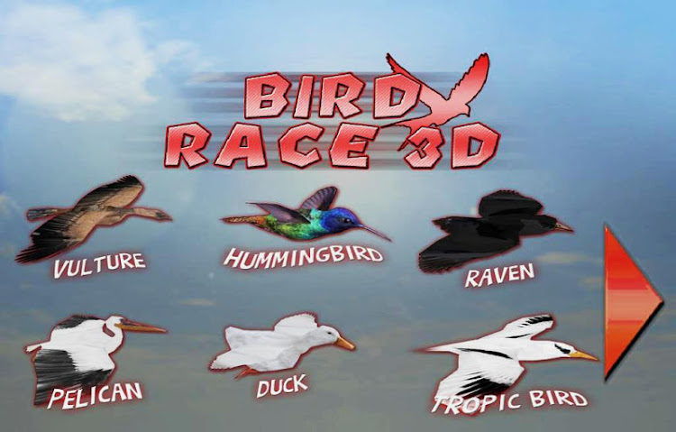 #5. Bird Race 3D (Android) By: Darie Productions