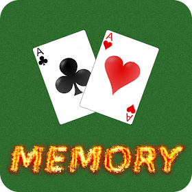 Memory Cards