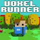 Voxel Runner