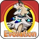 Mega Evolution