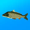 True Fishing. Simulator icon