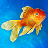 Aquarium Simulator: Fish Life icon