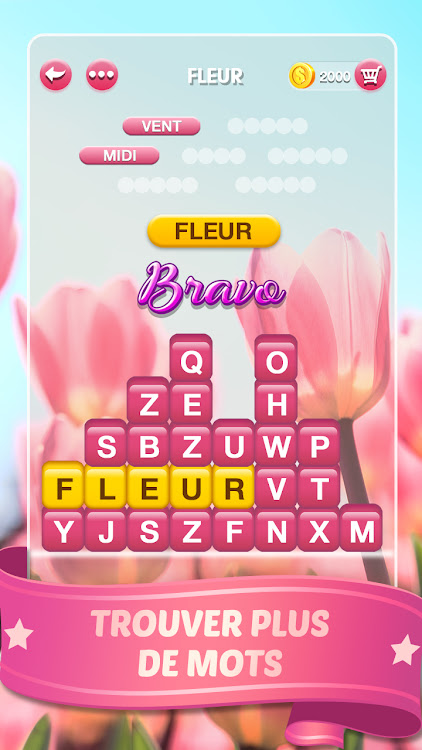 #3. Mots Malins - Jeu de mots pro (Android) By: FUNJOY