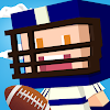 Bumpy Football Game icon