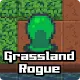 Grassland Rogue