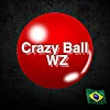 Crazy Ball WZ icon