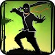 Ninja vs Shadow Warriors