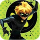 Cat Noir Miraculous