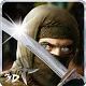 Ninja Warrior Assassin 3D