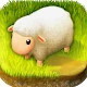 Tiny Sheep