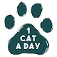 1 Cat a Day