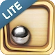 Labyrinth Lite