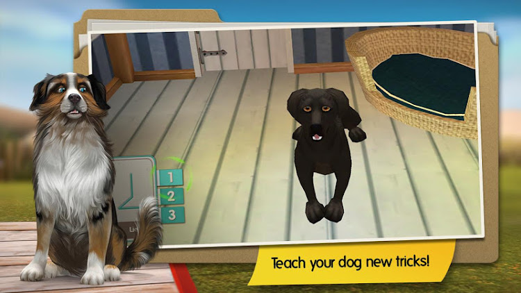 #2. Dog Hotel Premium (Android) By: Trophy Games - Animal Games