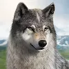 Wolf Game icon