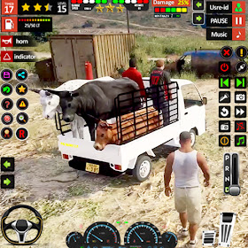 Cargo Animal Truck Games 2024