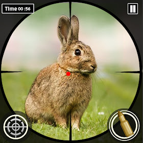 Wild Rabbit Hunt Shooting Game