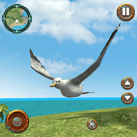 Seagull Bird Life Simulator