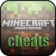 Best Tricks for Minecraft